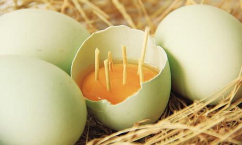 Three Misunderstandings about the Nutritional Value of Native Eggs and How to Identify Native Eggs